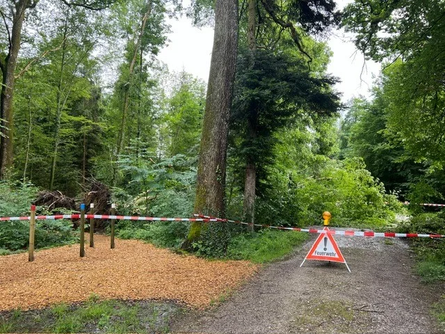 Ein abgesperrter Waldweg.